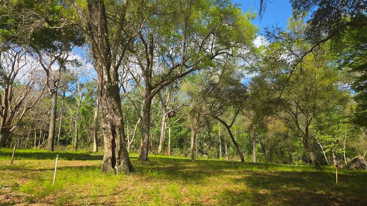 2140 ST JOHNS RIVER ROAD — photo 4 of 43