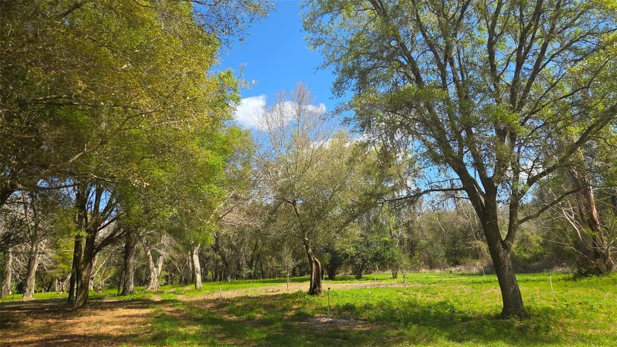 2140 ST JOHNS RIVER ROAD — photo 9 of 43