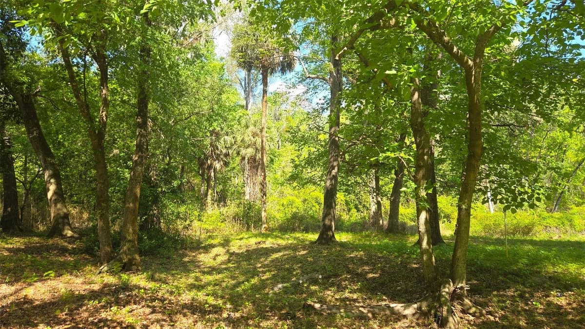 2140 ST JOHNS RIVER ROAD — photo 38 of 43
