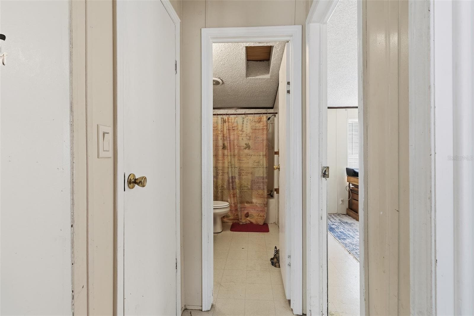 8186 WINDSONG STREET — photo 46 of 67