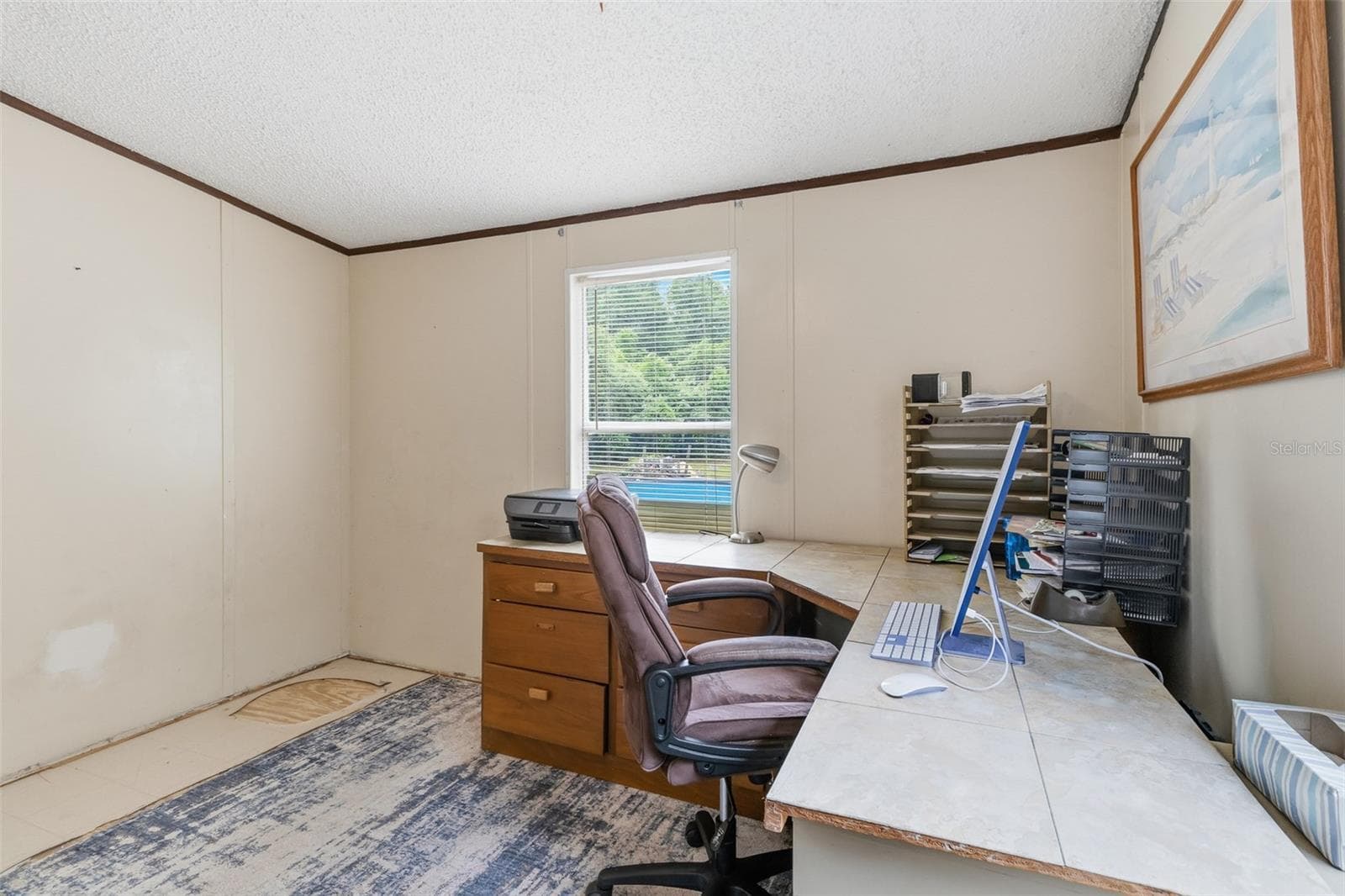 8186 WINDSONG STREET — photo 50 of 67