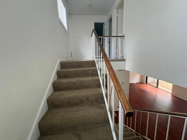 459 MEADOWOOD BOULEVARD — photo 17 of 26