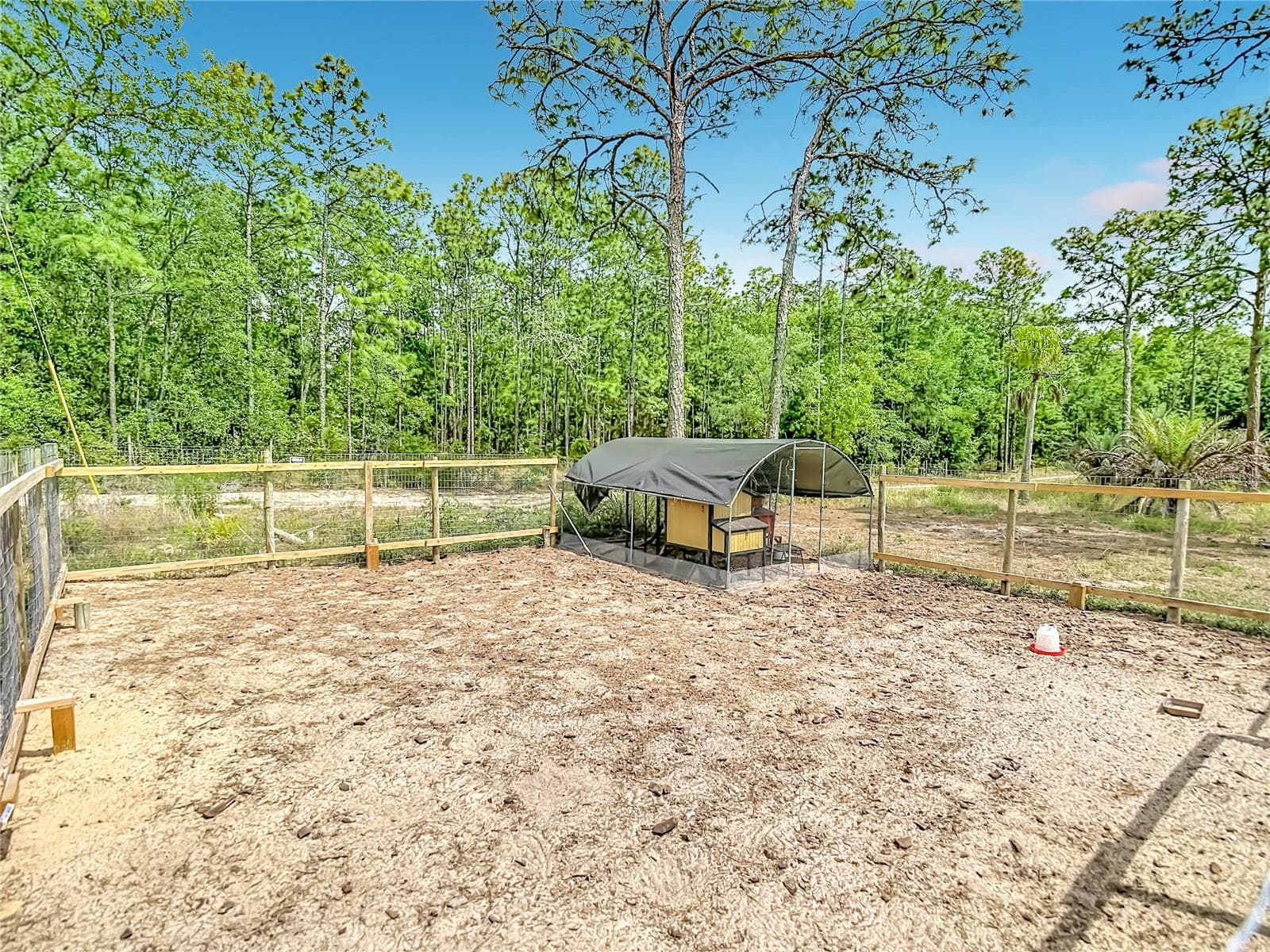 15204 GANSTER DRIVE — photo 44 of 49