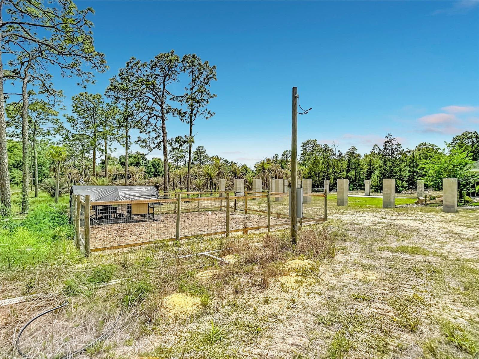 15204 GANSTER DRIVE — photo 45 of 49