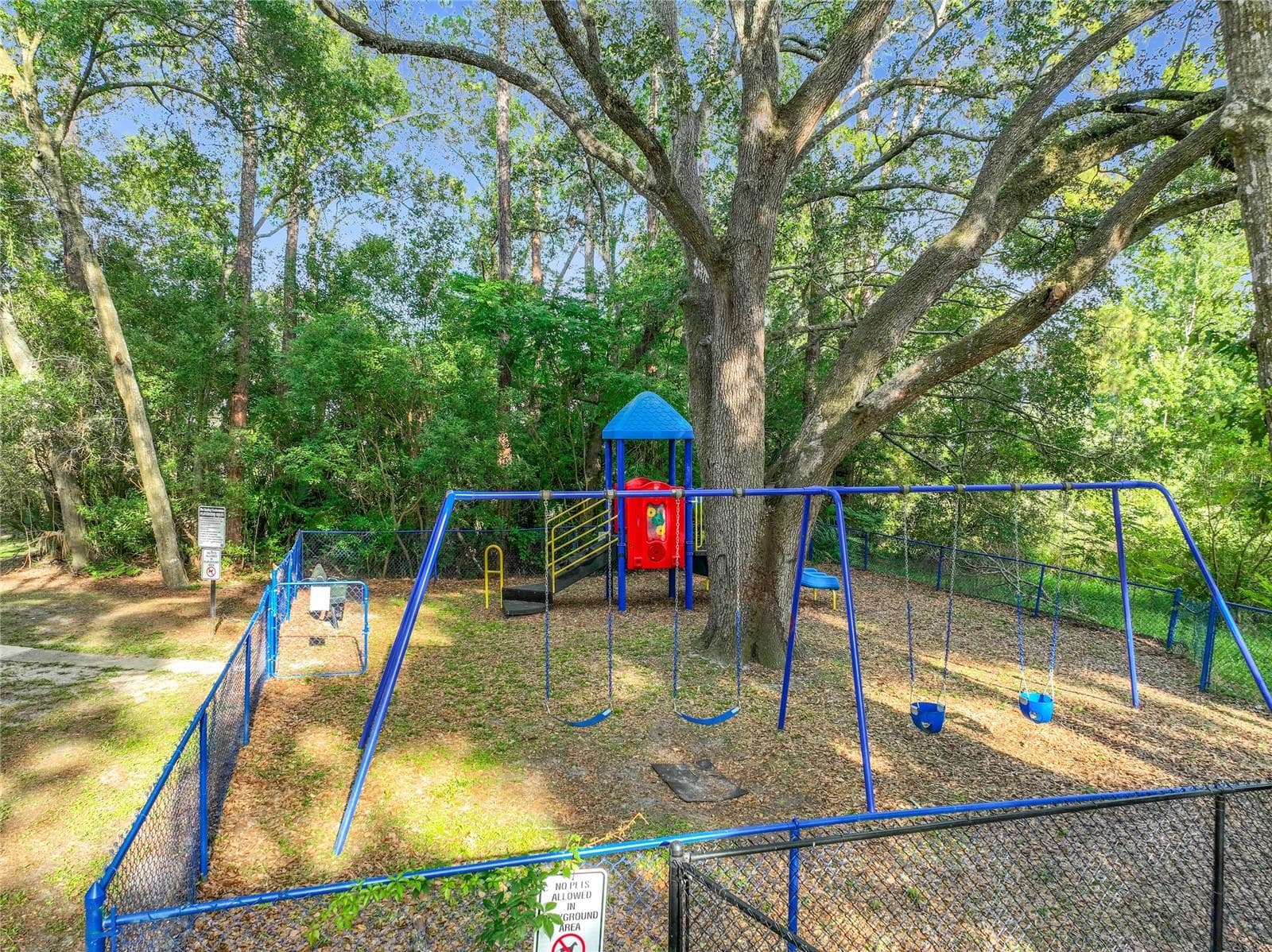 615 DORY LANE — photo 37 of 42