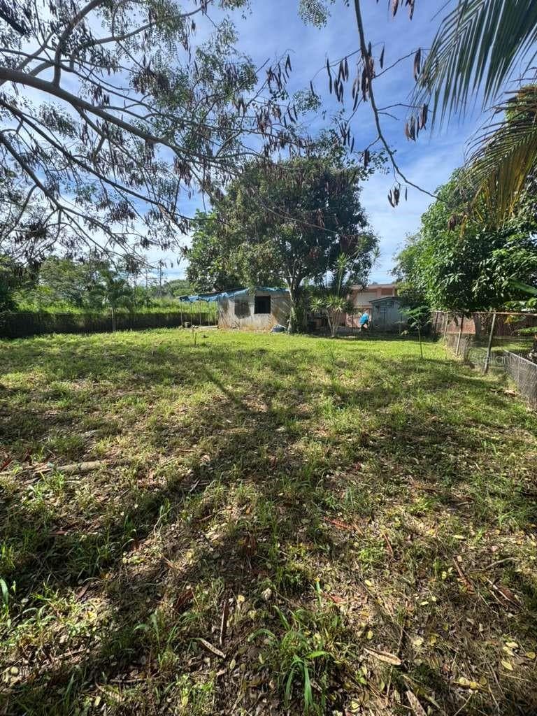7038 AVENIDA JOSÉ DE JESÚS ESTEVES — photo 15 of 17