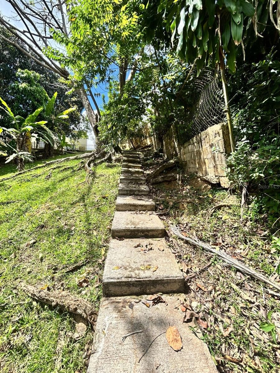 Lot 10 Street 1 LOS FLAMBOYANES SECTOR CAÑABONCITO WD — photo 19 of 22