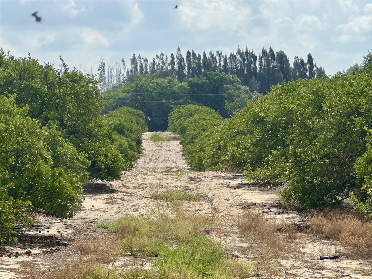 CROOKED LAKE DRIVE — photo 1 of 5
