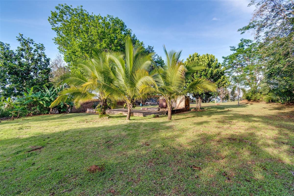 Bo Cerro Gordo, Carr 840 SECTOR VILLAS DEL OLIMPO — photo 12 of 61