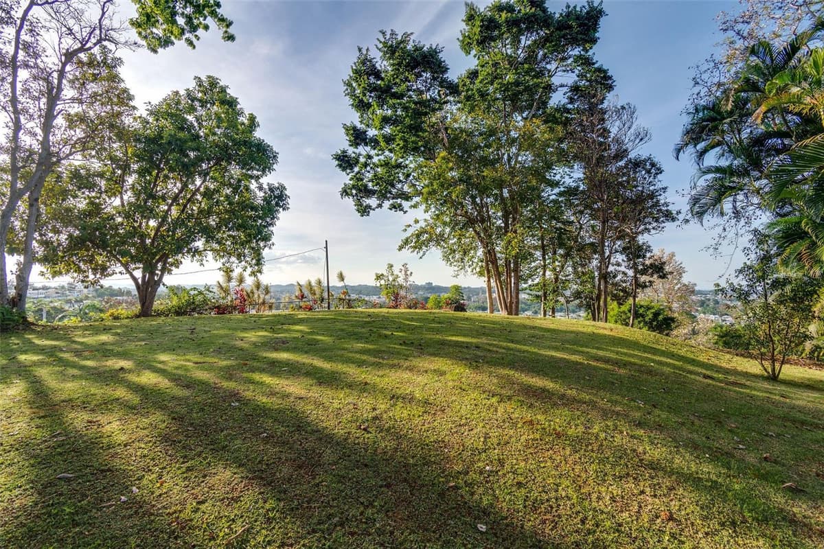 Bo Cerro Gordo, Carr 840 SECTOR VILLAS DEL OLIMPO — photo 15 of 61
