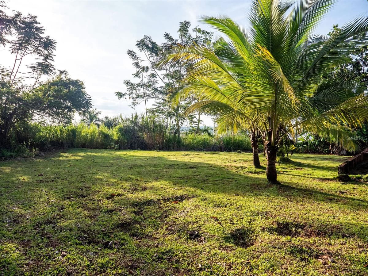 Bo Cerro Gordo, Carr 840 SECTOR VILLAS DEL OLIMPO — photo 49 of 61