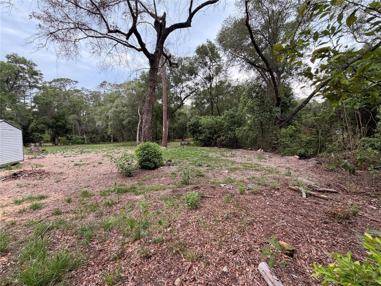 117 BREEZY OAK LANE — photo 8 of 13