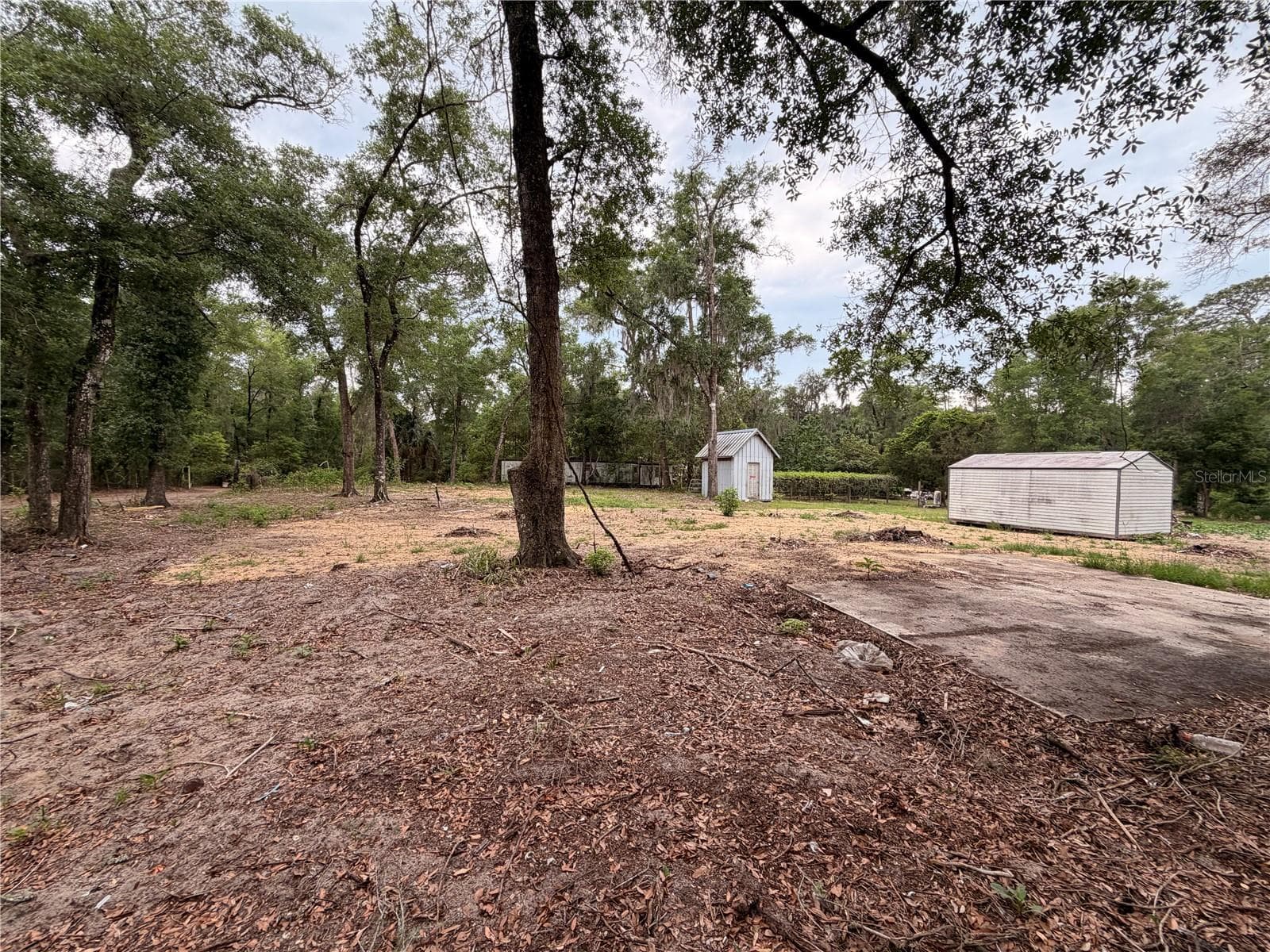 117 BREEZY OAK LANE — photo 7 of 13