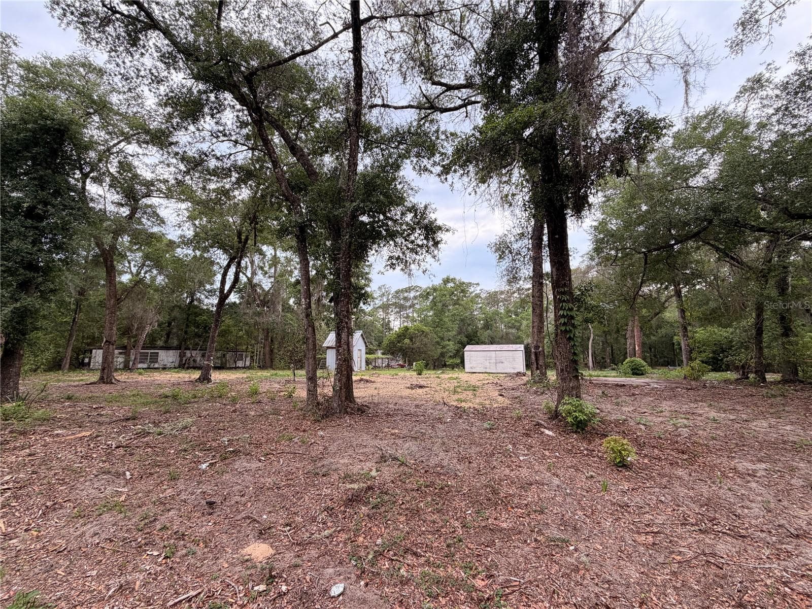 117 BREEZY OAK LANE — photo 5 of 13