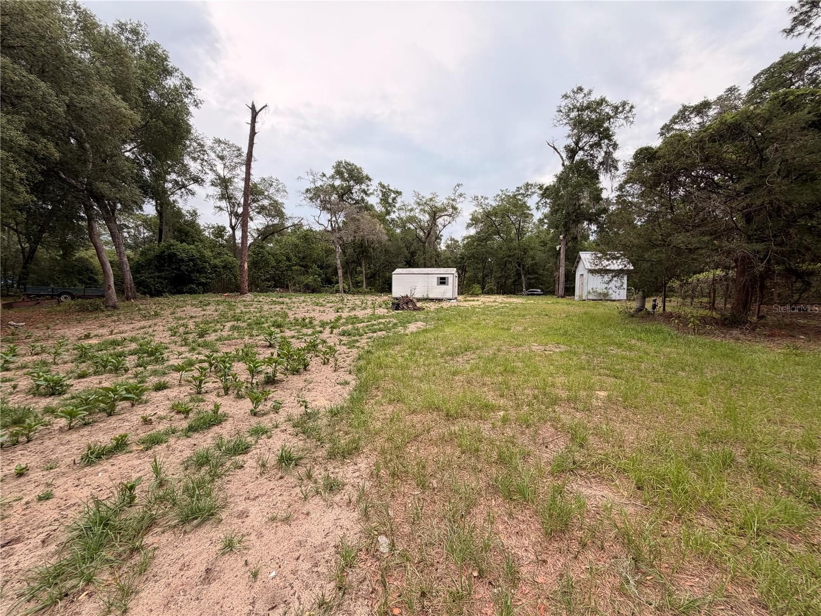 117 BREEZY OAK LANE — photo 10 of 13