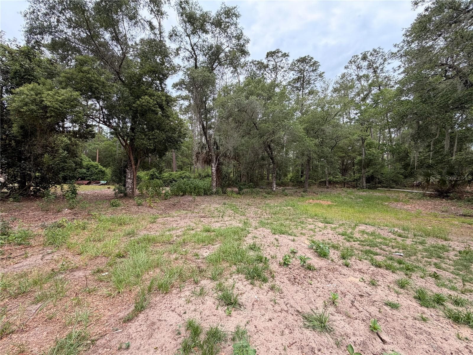 117 BREEZY OAK LANE — photo 11 of 13