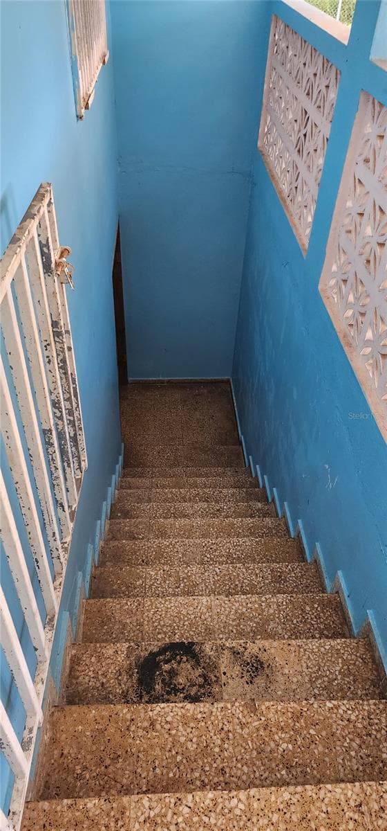 Carrt. 367 Klm 0.7 BO MACHUCAL, SECTOR PAPAYO — photo 18 of 22