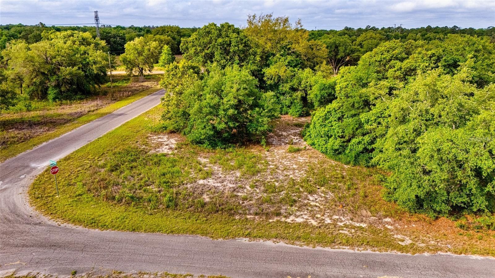 GUAVA TERRACE — photo 2 of 8
