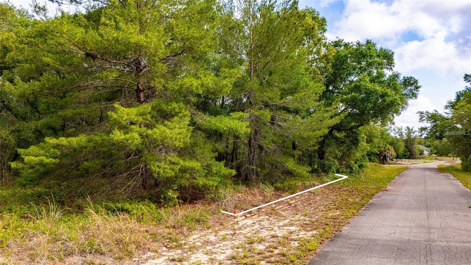 MAGNOLIA DRIVE — photo 2 of 9