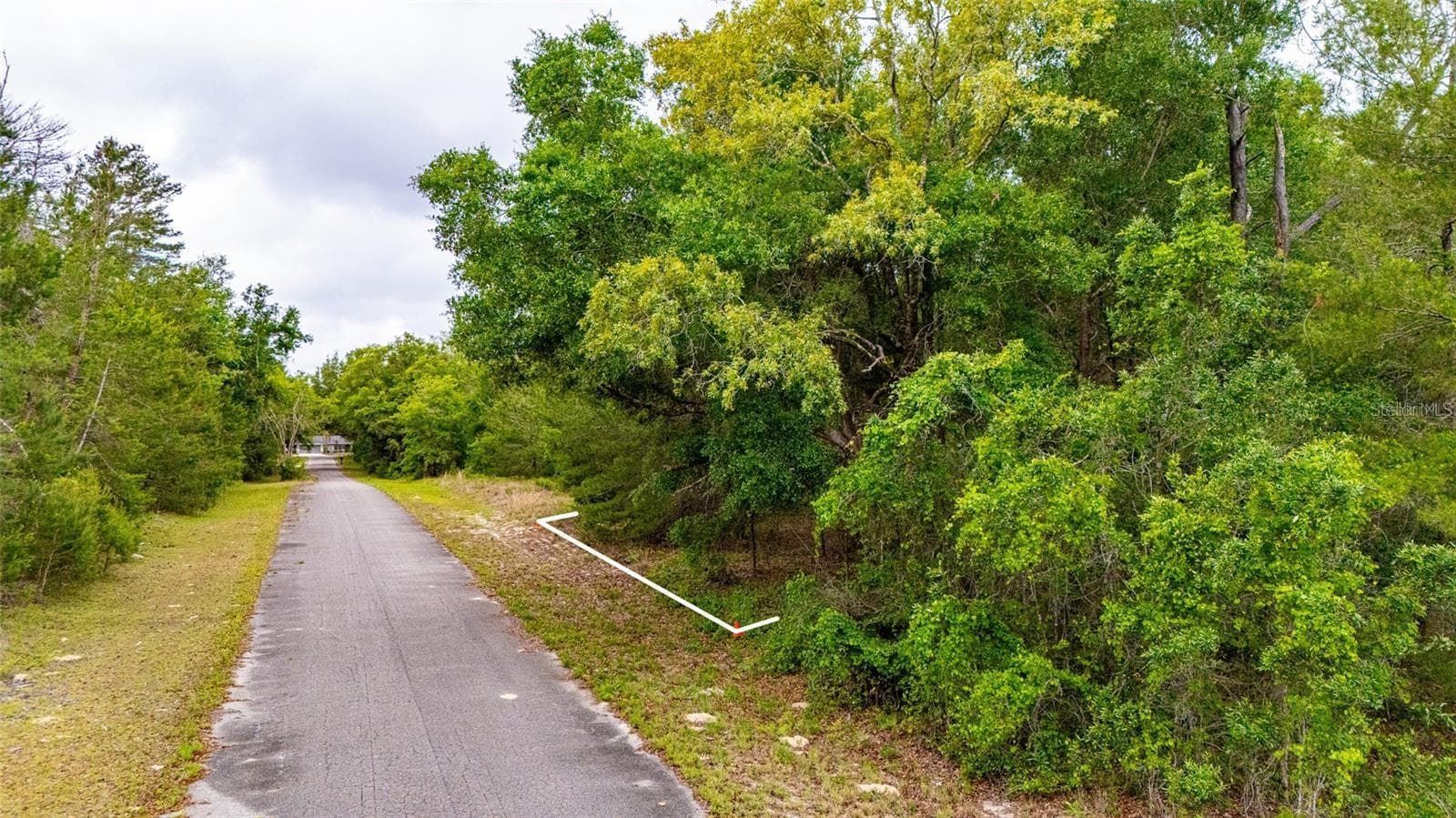 MAGNOLIA DRIVE — photo 4 of 9