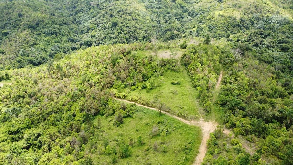 PR-172 KM 7.5 HACIENDA EL REMANSO, CAÑABONCITO WARD — photo 17 of 28