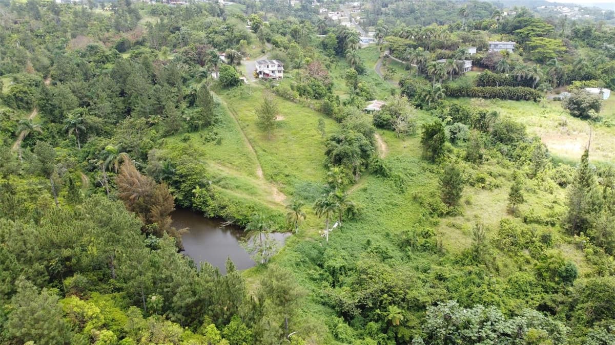 PR-172 KM 7.5 HACIENDA EL REMANSO, CAÑABONCITO WARD — photo 18 of 28