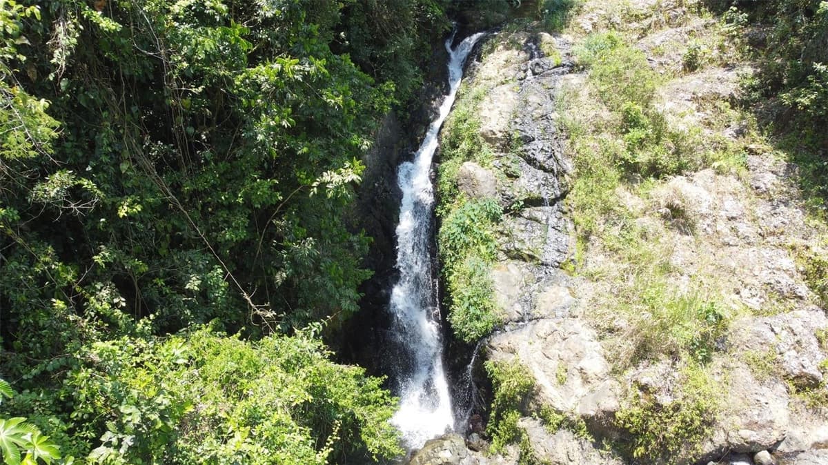 PR-172 KM 7.5 HACIENDA EL REMANSO, CAÑABONCITO WARD — photo 9 of 28