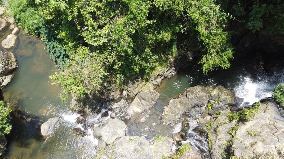 PR-172 KM 7.5 HACIENDA EL REMANSO, CAÑABONCITO WARD — photo 11 of 28