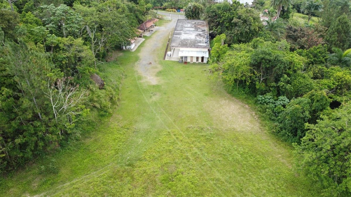 PR-172 KM 7.5 HACIENDA EL REMANSO, CAÑABONCITO WARD — photo 15 of 28