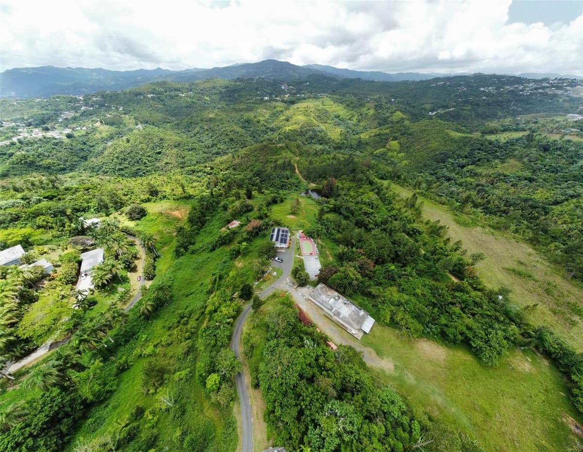 PR-172 KM 7.5 HACIENDA EL REMANSO, CAÑABONCITO WARD — photo 21 of 28