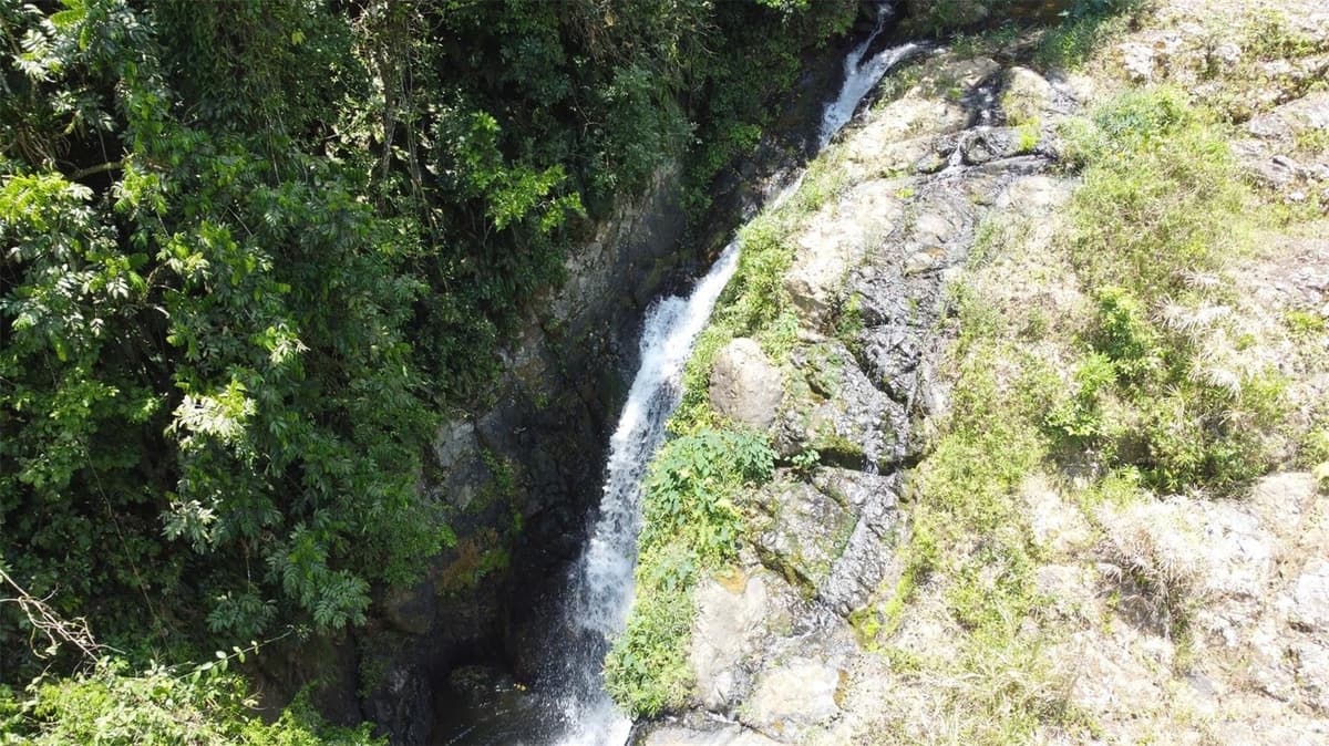 PR-172 KM 7.5 HACIENDA EL REMANSO, CAÑABONCITO WARD — photo 10 of 28