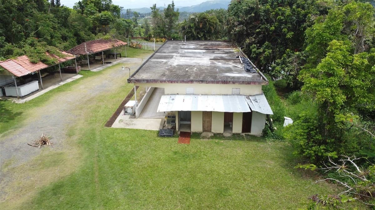 PR-172 KM 7.5 HACIENDA EL REMANSO, CAÑABONCITO WARD — photo 4 of 28