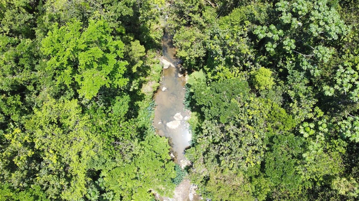 PR-172 KM 7.5 HACIENDA EL REMANSO, CAÑABONCITO WARD — photo 12 of 28