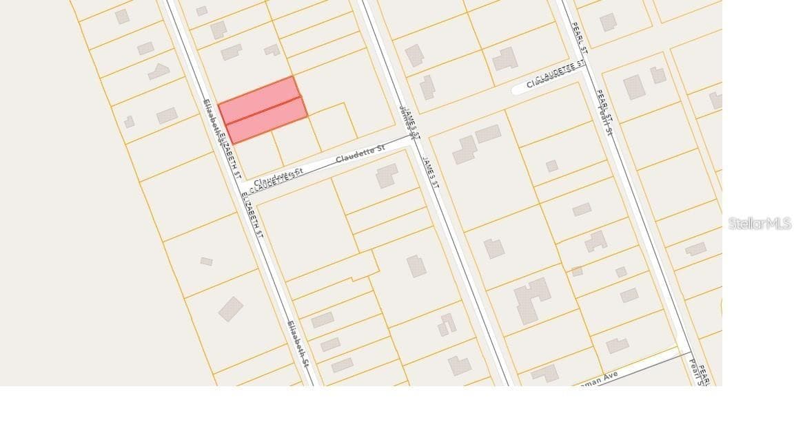 ELIZABETH STREET — photo 2 of 6