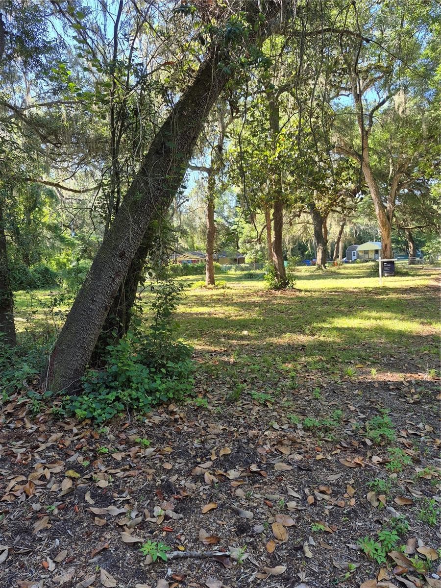 16615 45TH COURT — photo 4 of 8