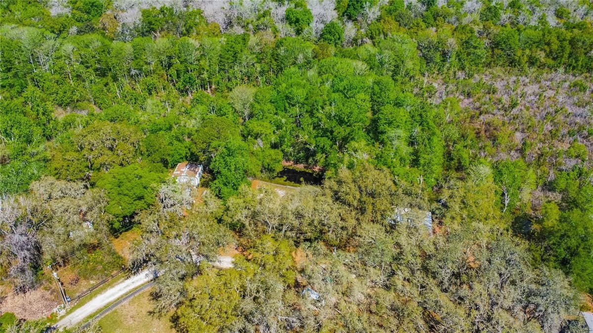 7536 BOBCAT POINT — photo 53 of 69