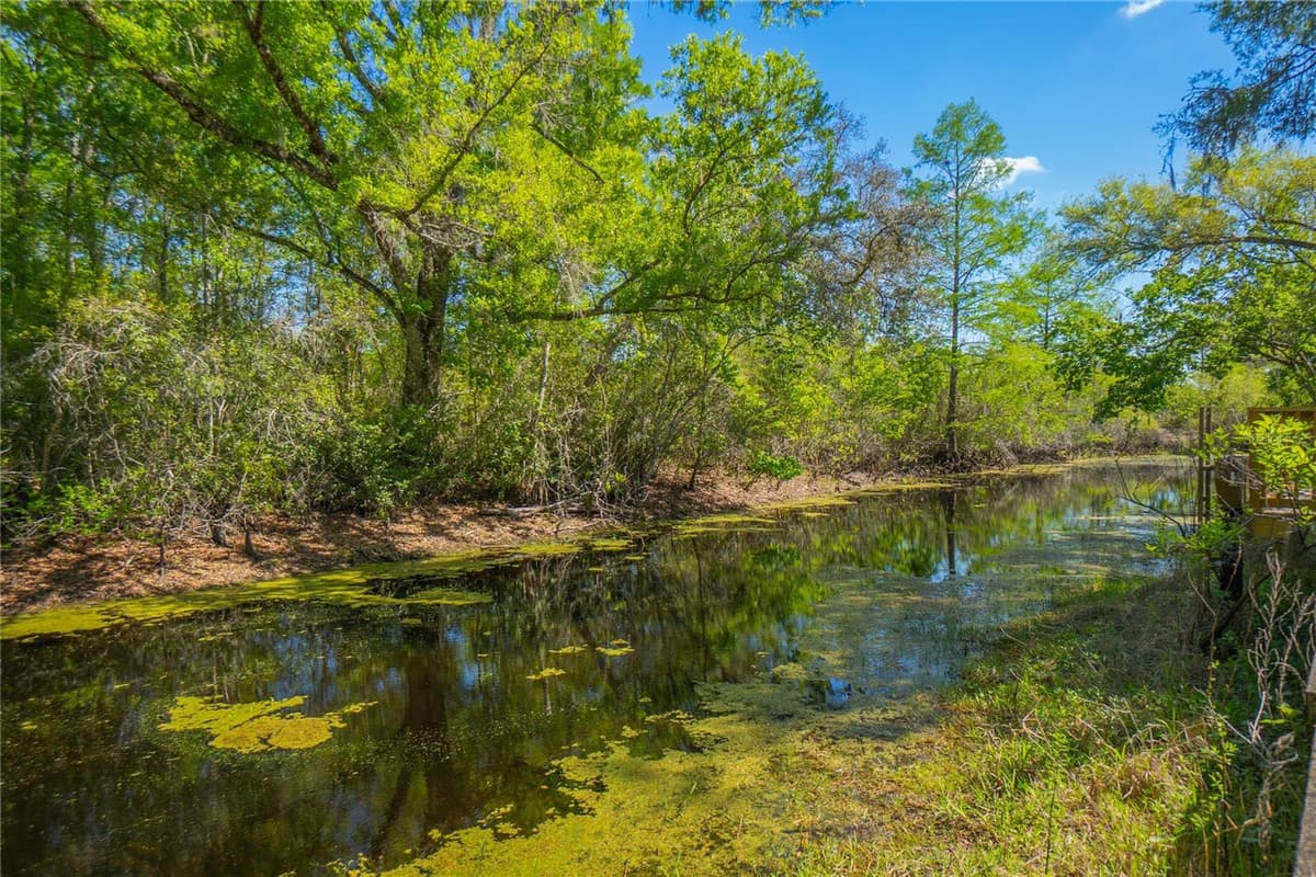7536 BOBCAT POINT — photo 43 of 69