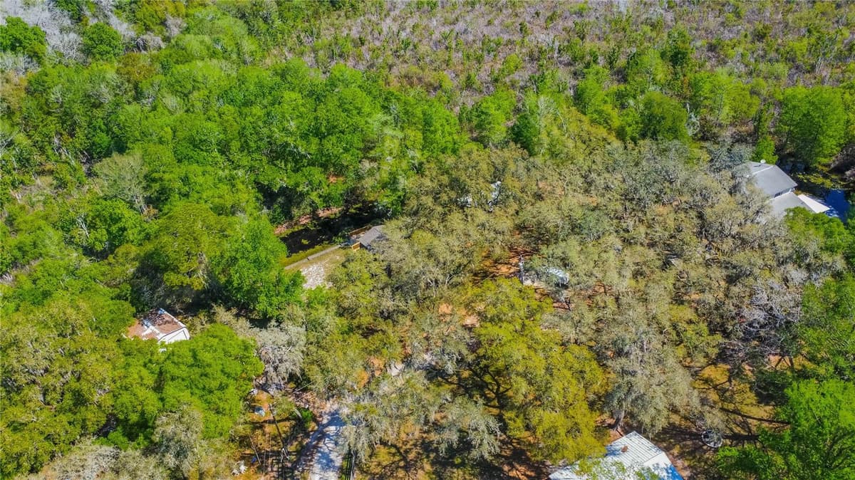 7536 BOBCAT POINT — photo 55 of 69
