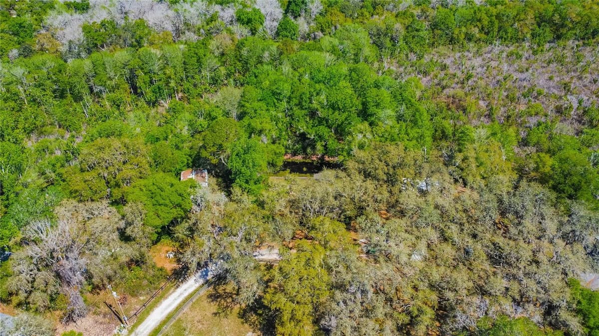 7536 BOBCAT POINT — photo 54 of 69