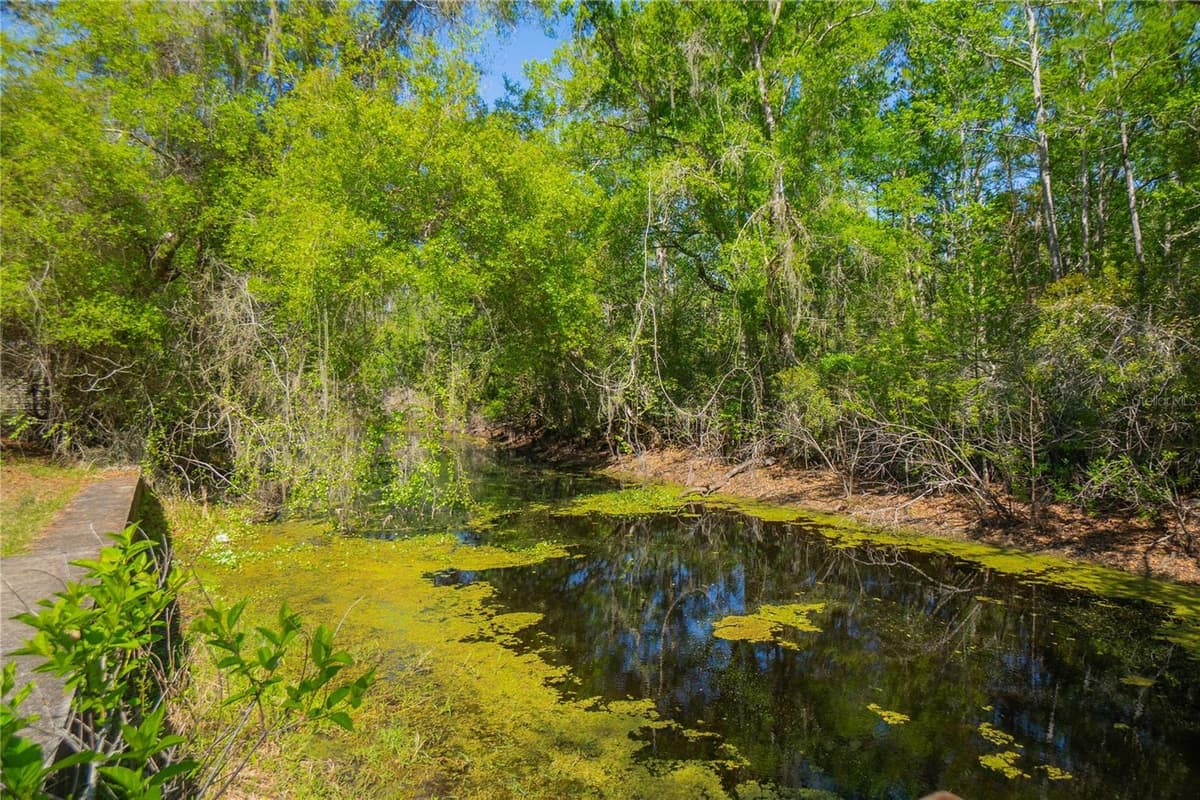 7536 BOBCAT POINT — photo 44 of 69