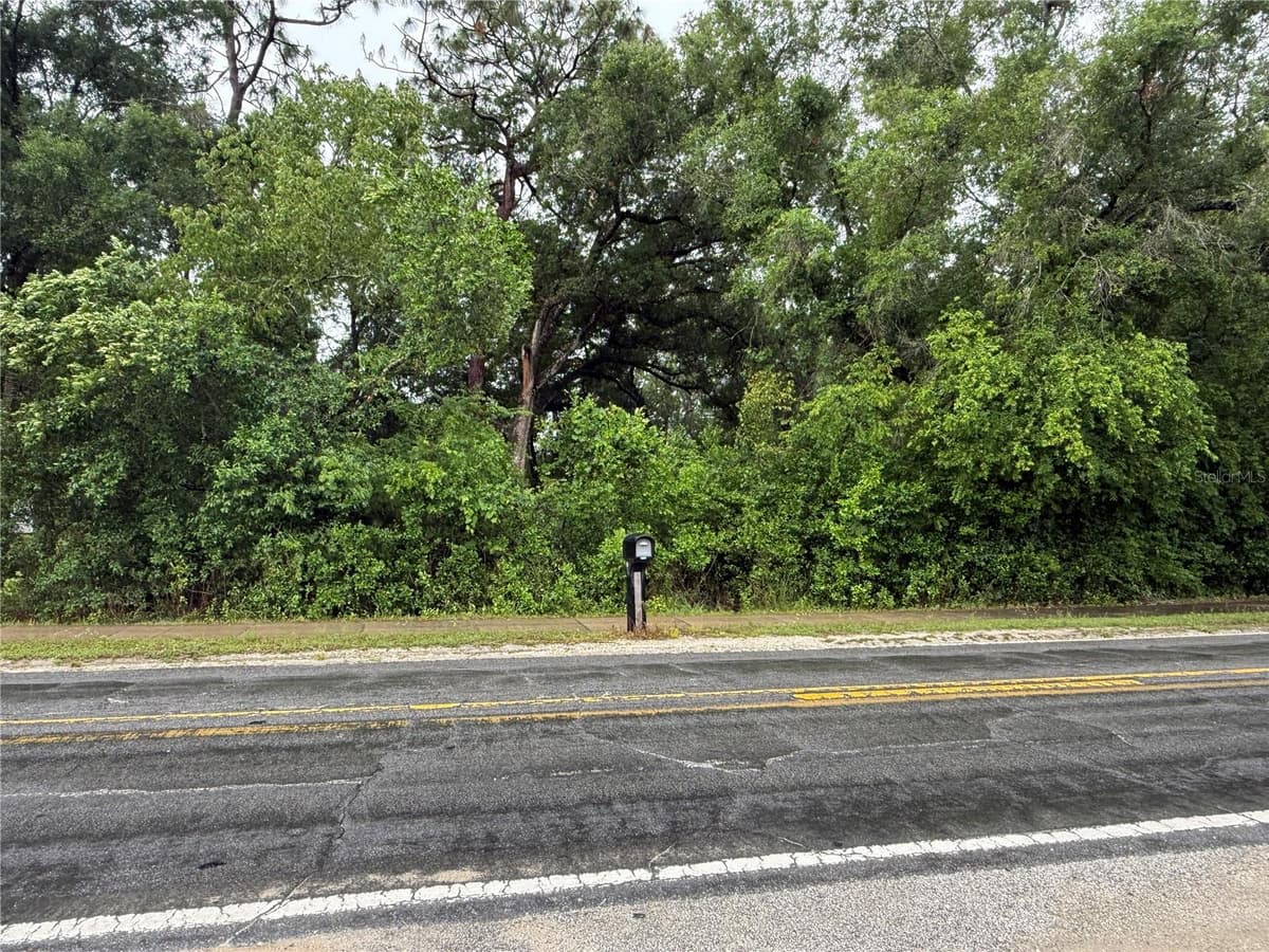 34184 RIDGE MANOR BLVD — photo 4 of 7
