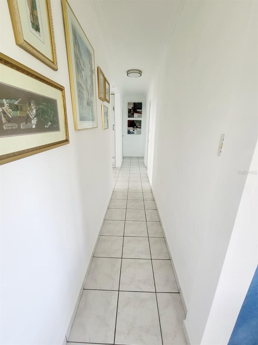 8C CLAVEL ST. — photo 21 of 24