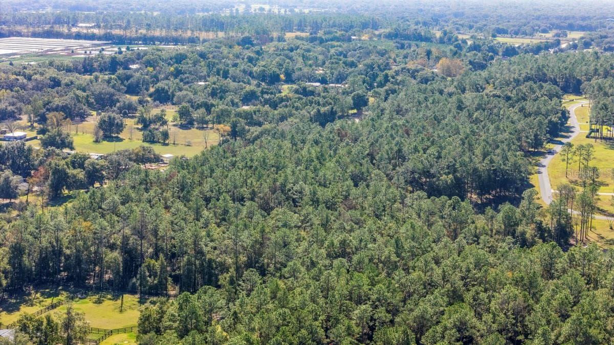24238 DEEP SPRINGS LOOP — photo 9 of 9