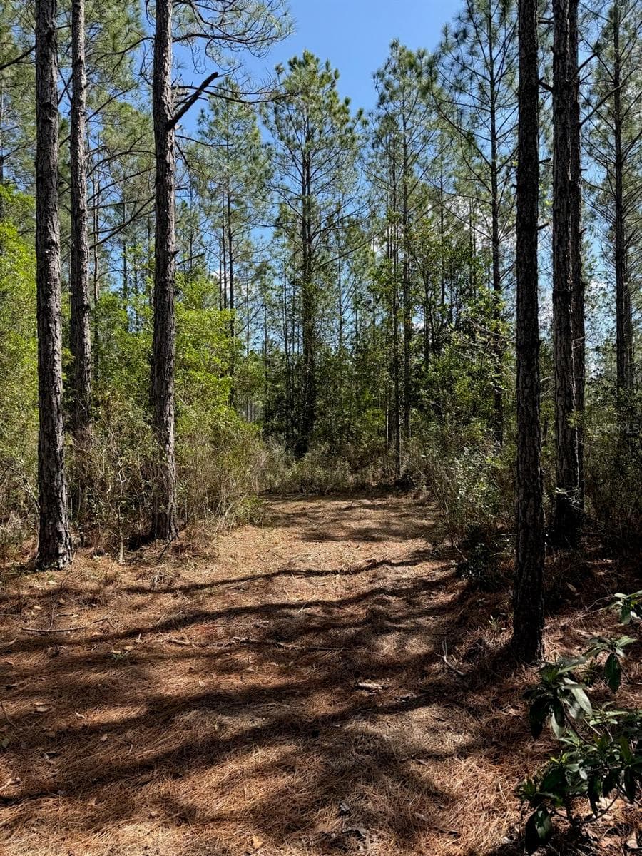 859 WILD CUR ROAD — photo 10 of 20