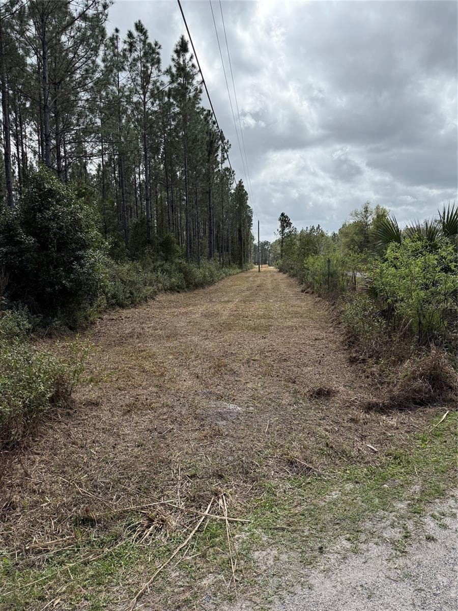 859 WILD CUR ROAD — photo 7 of 20