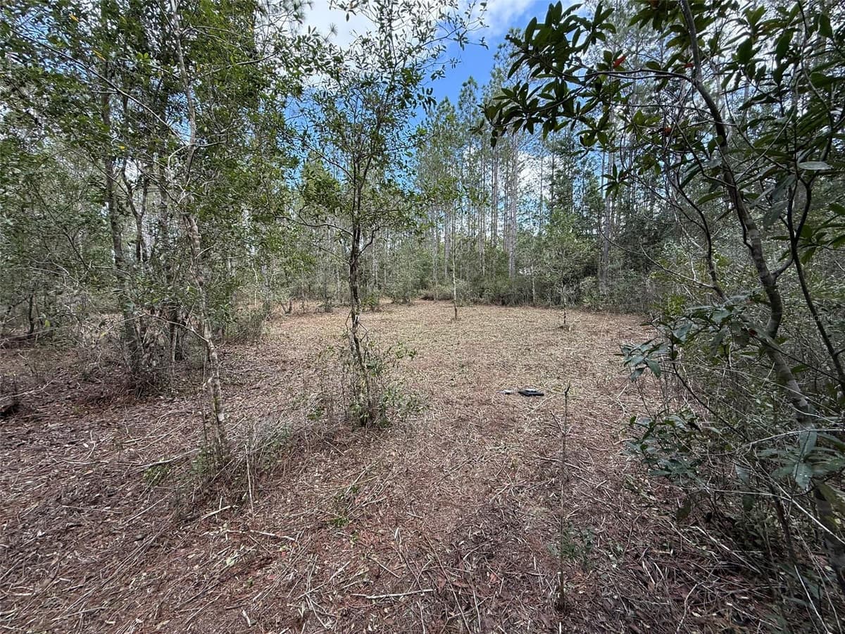 859 WILD CUR ROAD — photo 5 of 20