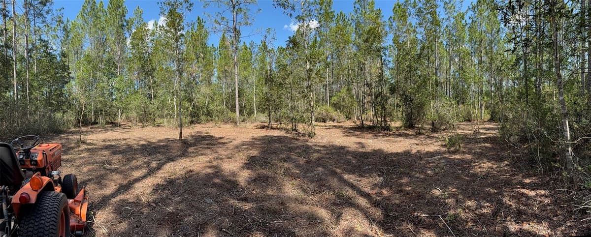 859 WILD CUR ROAD — photo 8 of 20