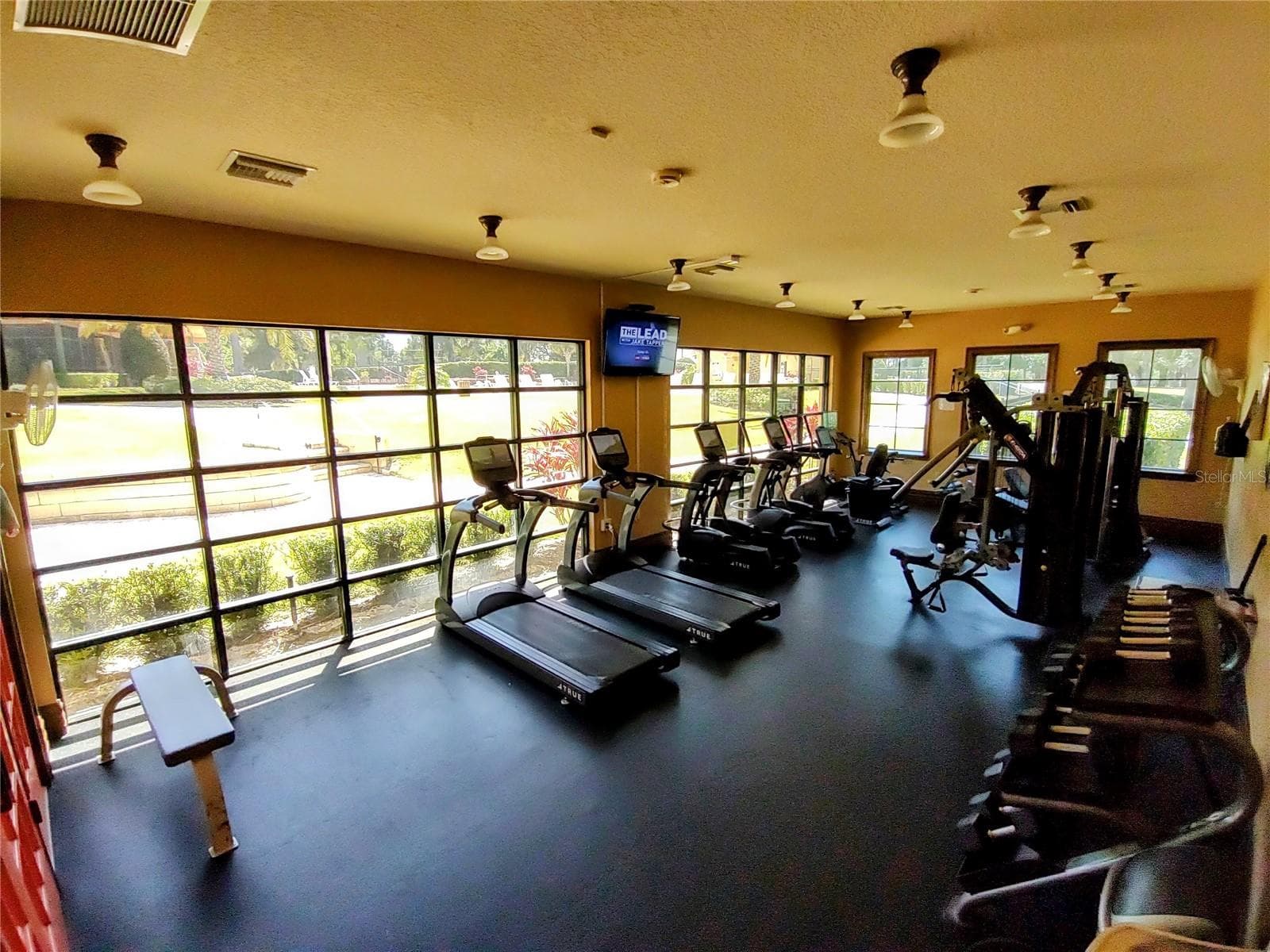 33804 TERRAGONA DRIVE — photo 45 of 66