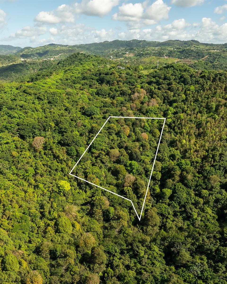 Carr 853 BO. CACAO LOTE 15 — photo 4 of 8