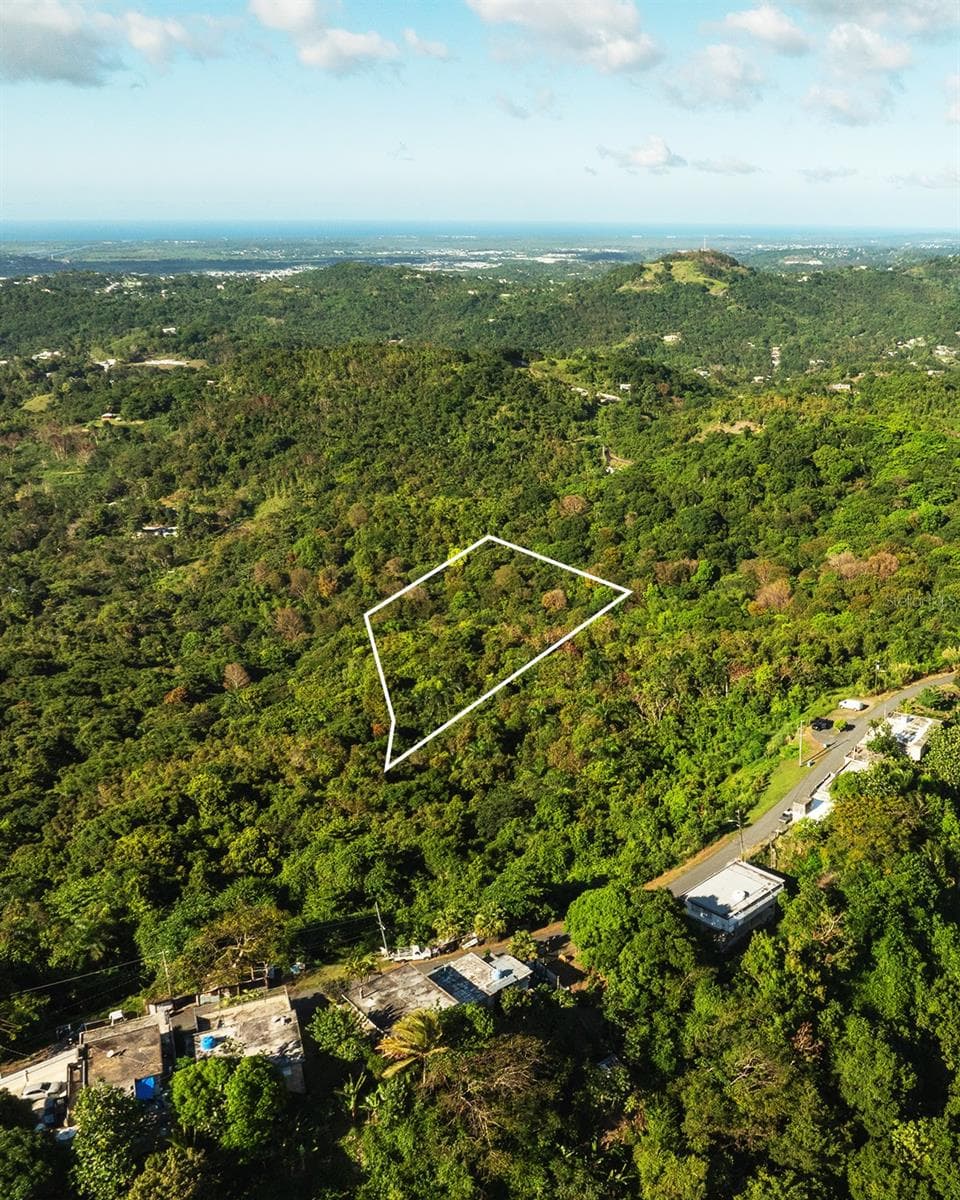 Carr 853 BO. CACAO LOTE 15 — photo 5 of 8